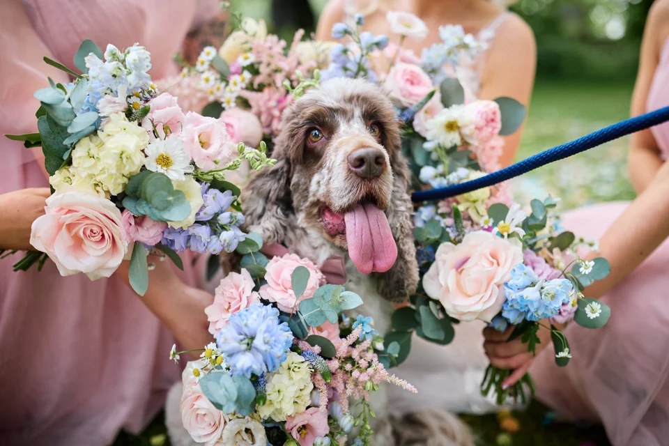 A moment from Abbey & Daniel’s wedding at Bateman’s Barns